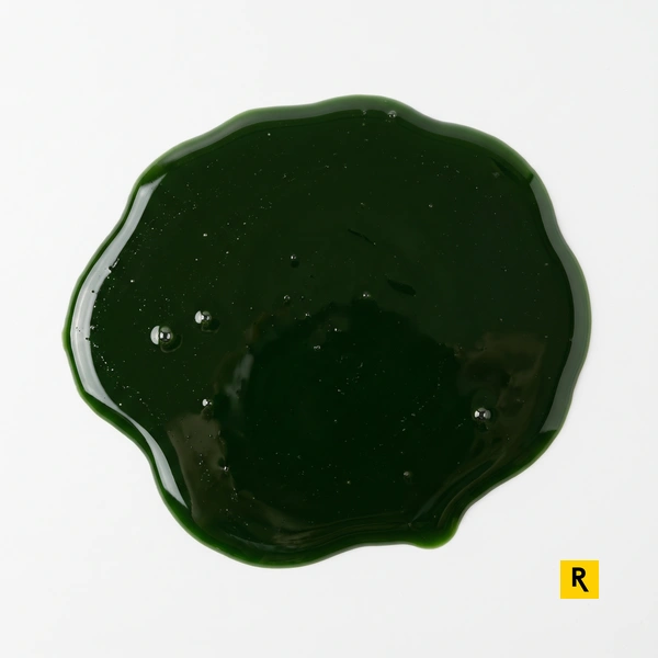 EER 03.03.02 fanghi green liquor e gestionale RENTRI