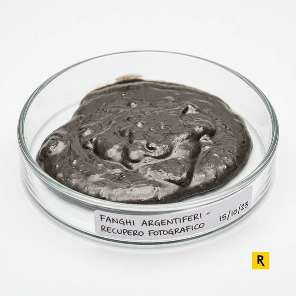 EER 09.01.06*: argento da rifiuti fotografici e RENTRI