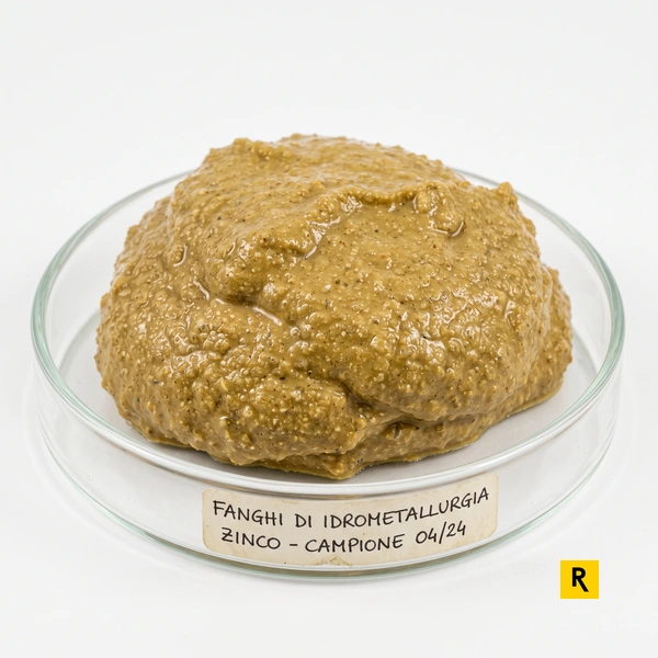 EER 11.02.02*: fanghi idrometallurgia zinco e RENTRI
