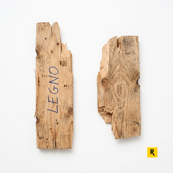 EER 20.01.38 legno da raccolta differenziata e RENTRI